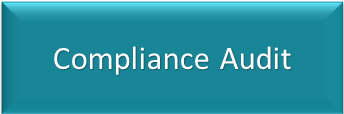 Compliance Audit