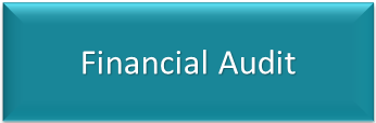 Financial audit