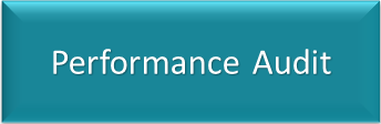 Performance audit
